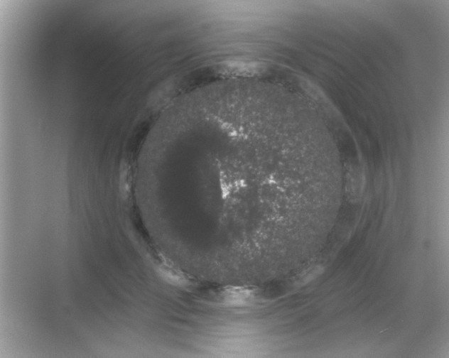 X0000069360701200605121117