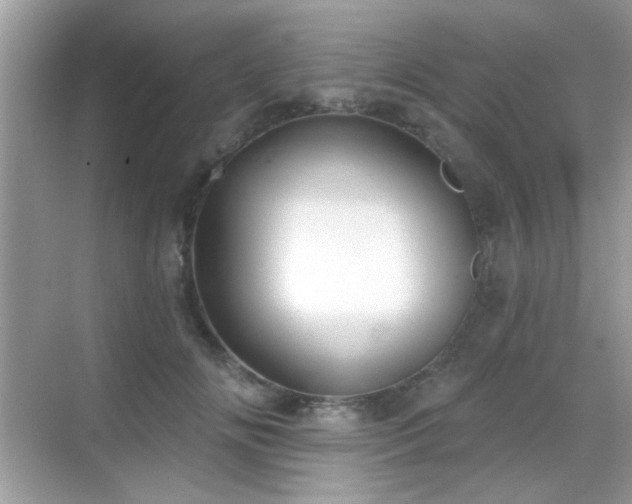 X0000069360702200605121117