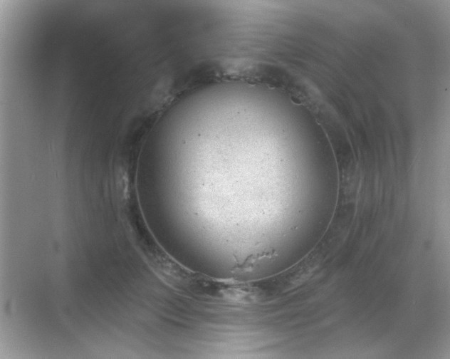 X0000069360703200605121117