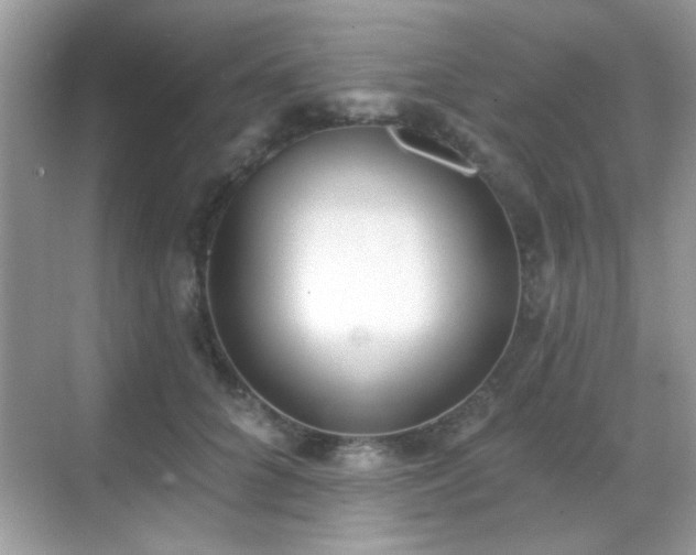 X0000069360704200605121117