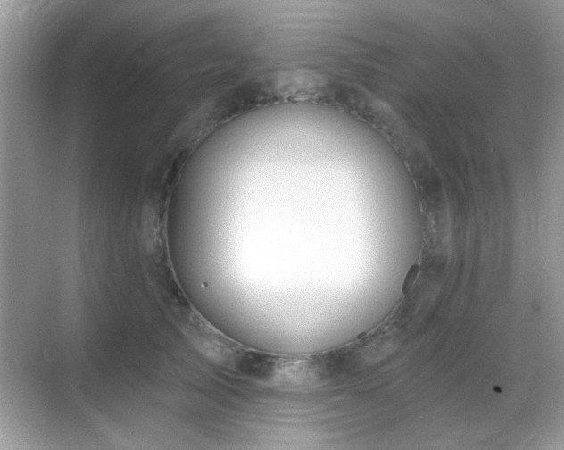 X0000069360705200605121117