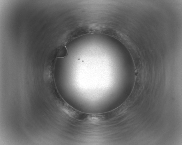 X0000069360706200605121117