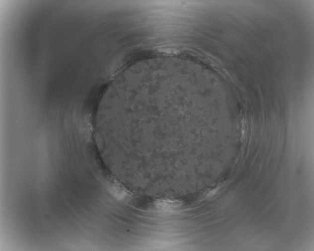 X0000069360707200605121117