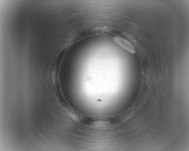 X0000069360708200605121117