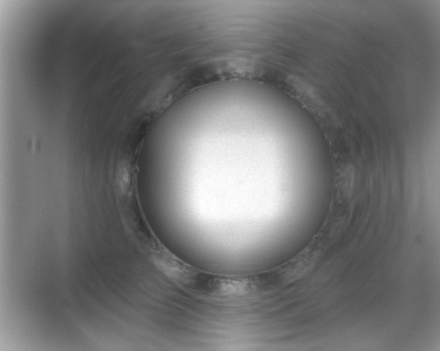 X0000069360709200605121117