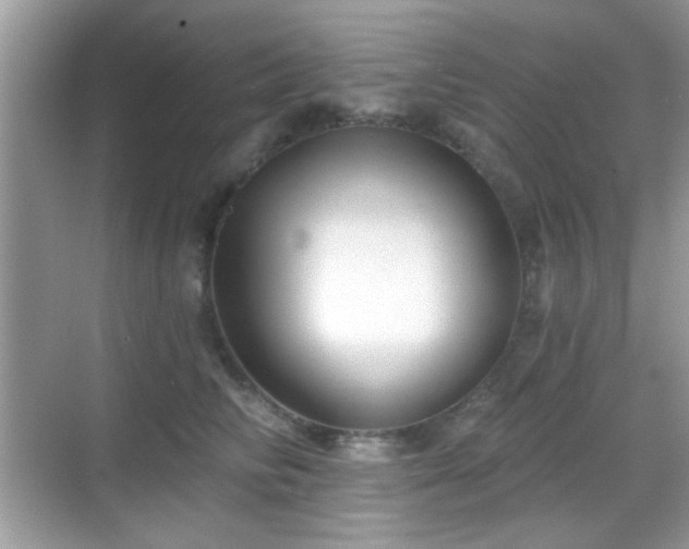 X0000069360710200605121117