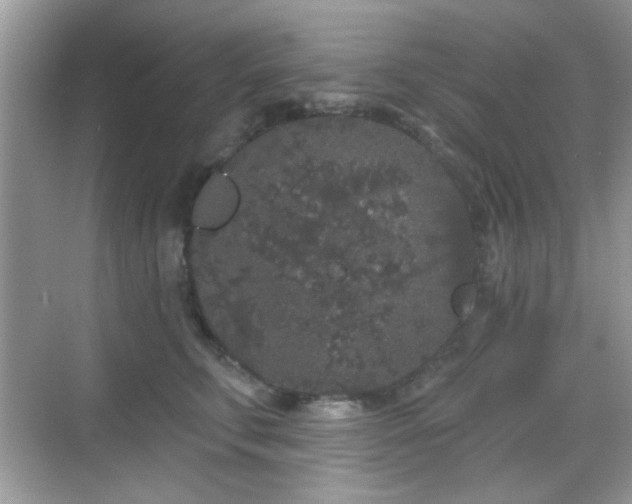 X0000069360711200605121117