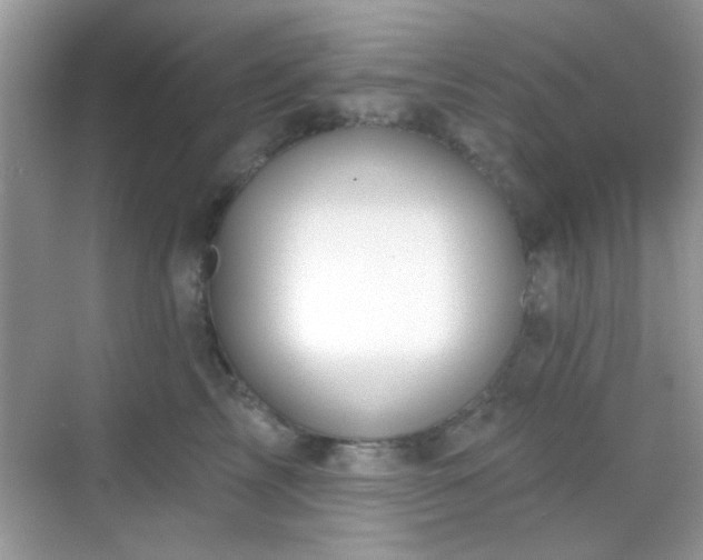 X0000069360713200605121117