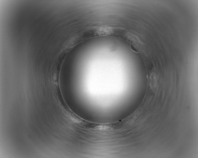 X0000069360714200605121117