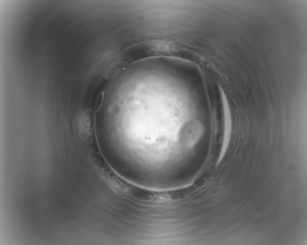 X0000069360715200605121117