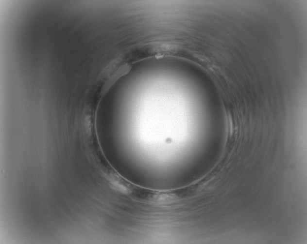 X0000069360716200605121116