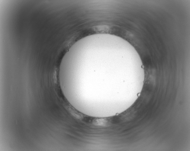 X0000069360717200605121116