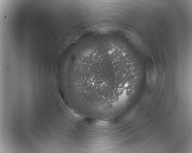 X0000069360718200605121116