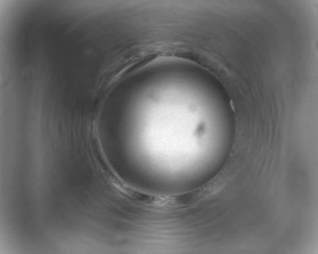 X0000069360720200605121116