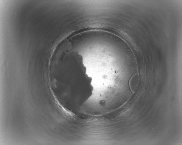 X0000069360721200605121116