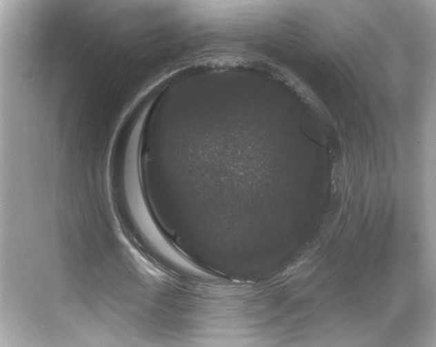 X0000069360722200605121116