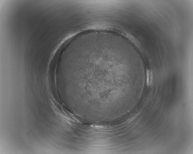 X0000069360723200605121116