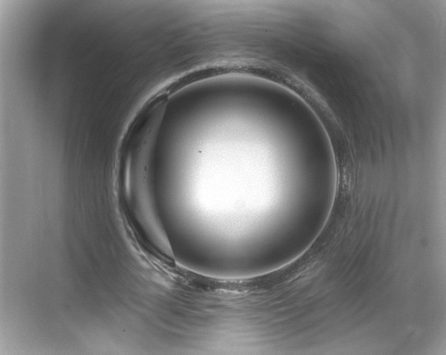 X0000069360724200605121116