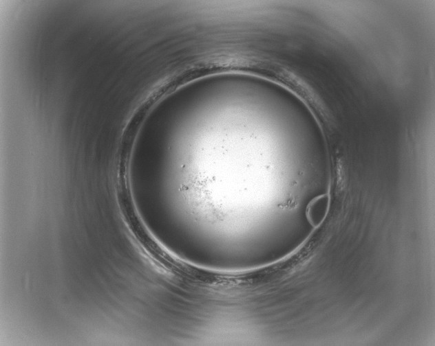 X0000069360725200605121116