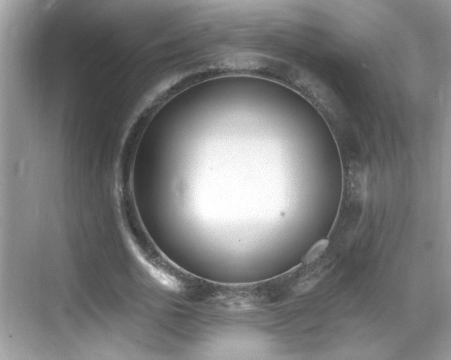 X0000069360726200605121116