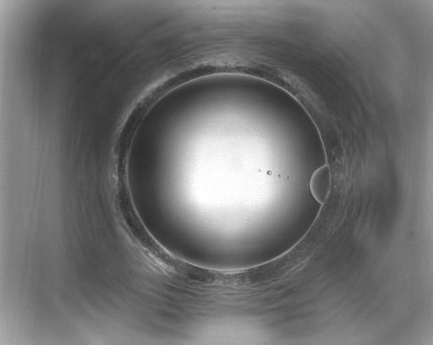 X0000069360727200605121116