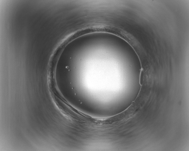 X0000069360728200605121116