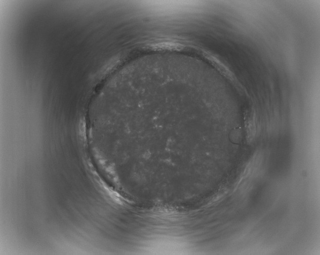 X0000069360729200605121116