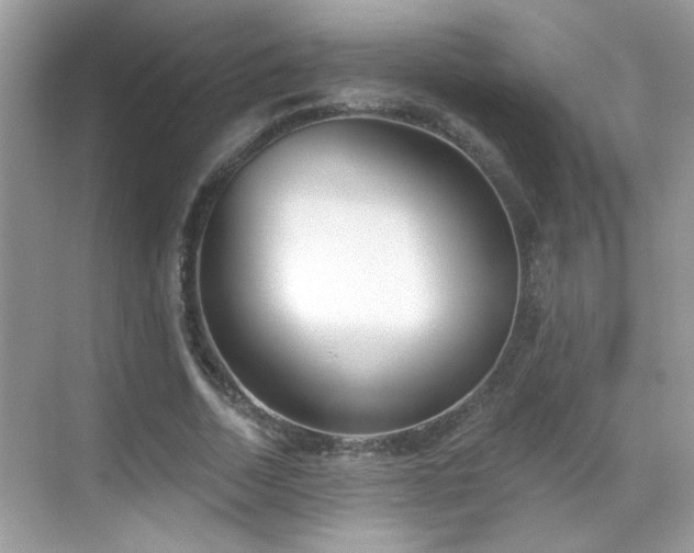 X0000069360730200605121116