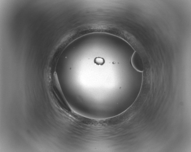 X0000069360731200605121116