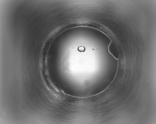 X0000069360732200605121116