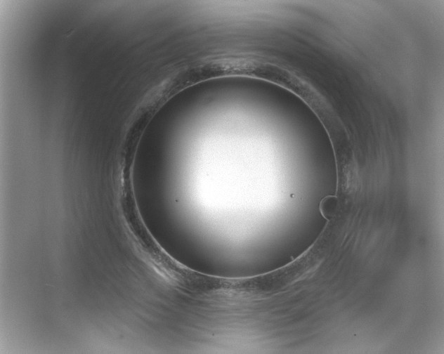 X0000069360733200605121116