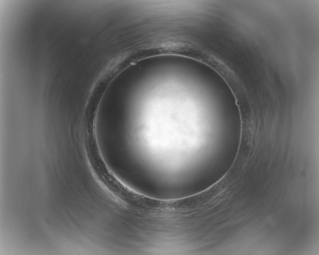 X0000069360734200605121116