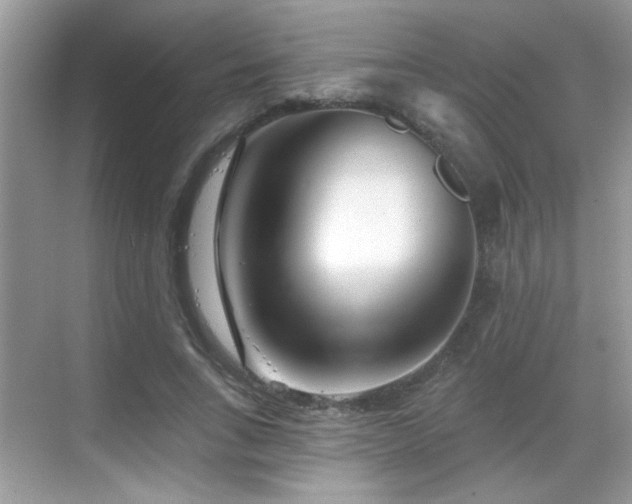 X0000069360735200605121116