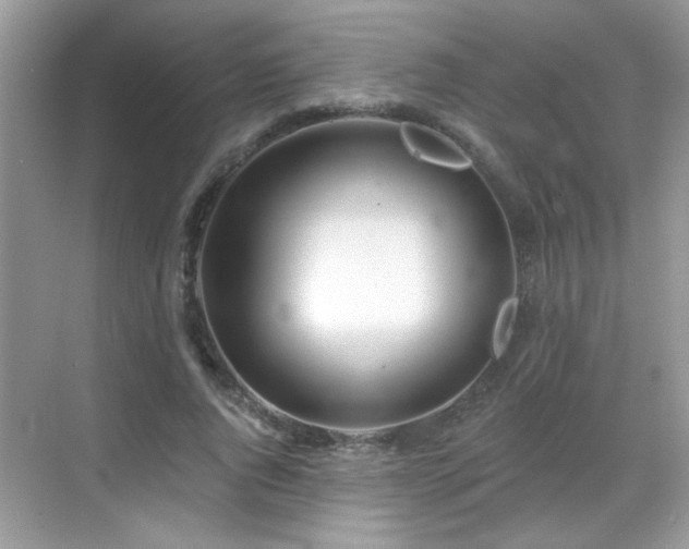 X0000069360736200605121116