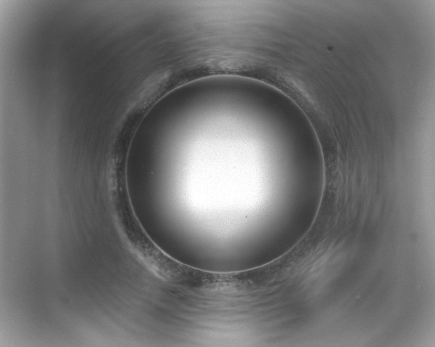 X0000069360738200605121116