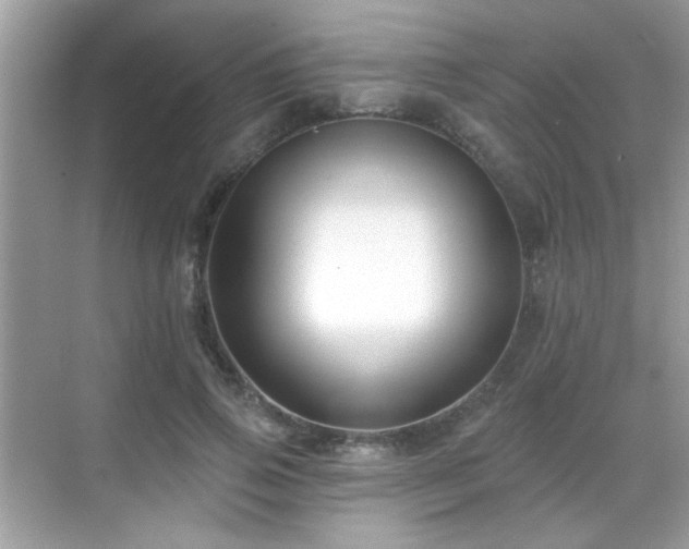 X0000069360741200605121116