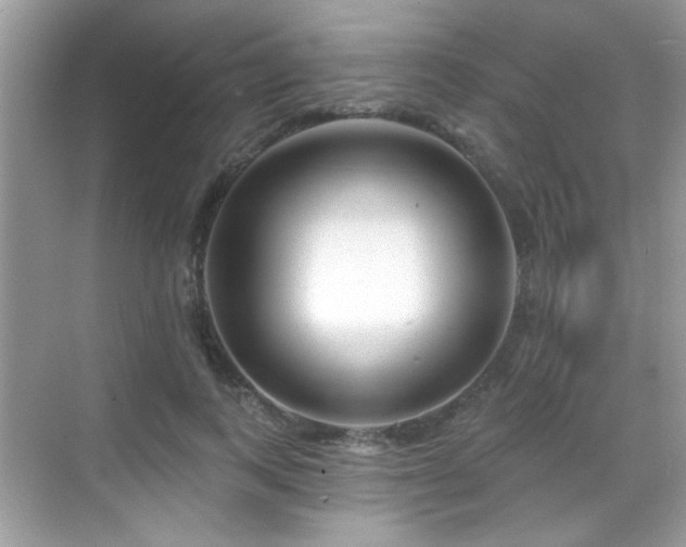 X0000069360743200605121116