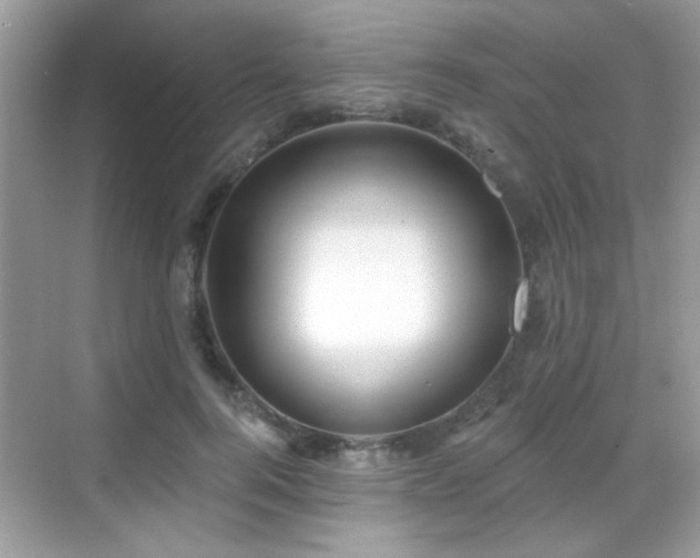 X0000069360744200605121116