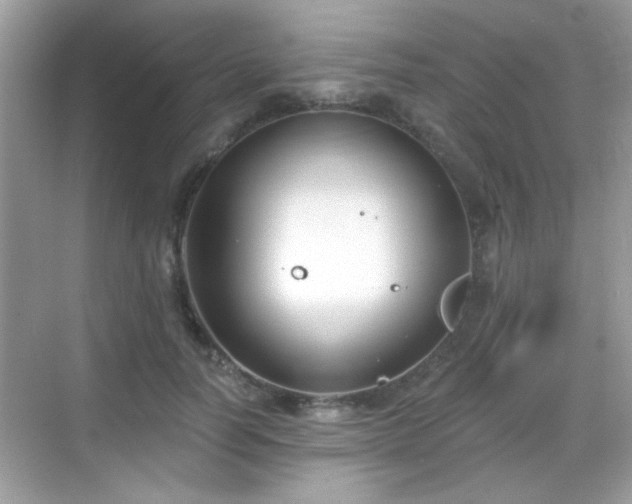 X0000069360746200605121116