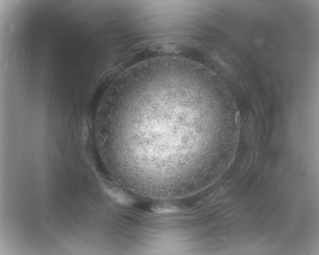 X0000069360747200605121116