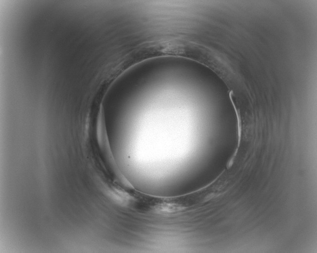 X0000069360748200605121116