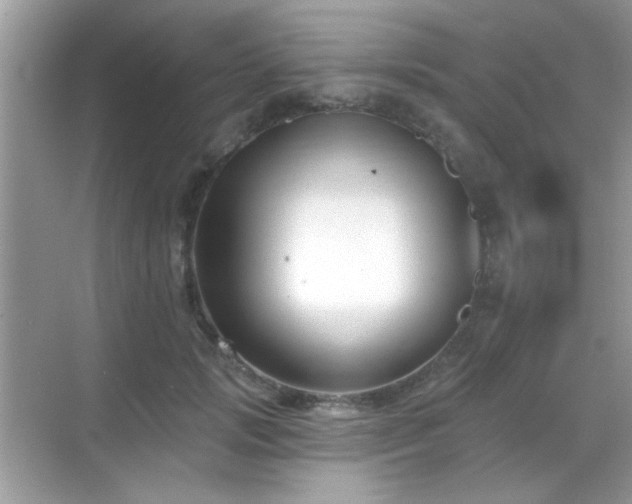 X0000069360749200605121116