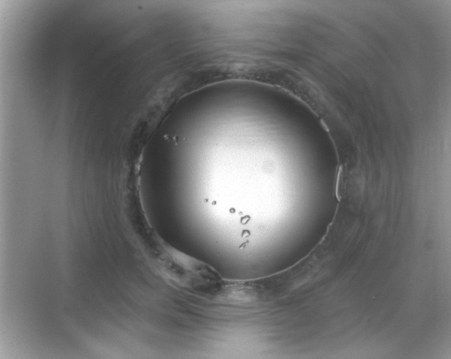 X0000069360750200605121116