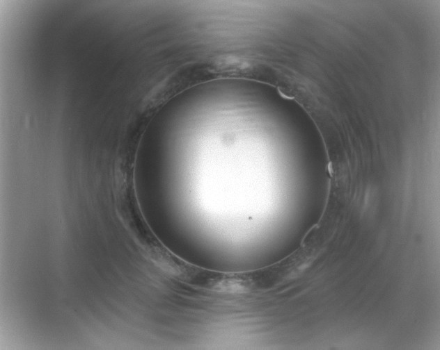 X0000069360751200605121116