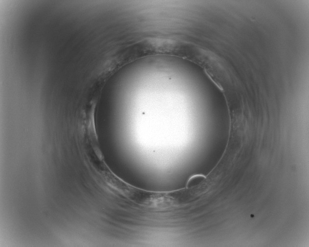 X0000069360752200605121116