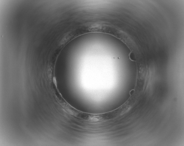 X0000069360753200605121116