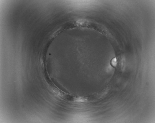 X0000069360754200605121116