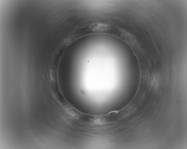 X0000069360755200605121116