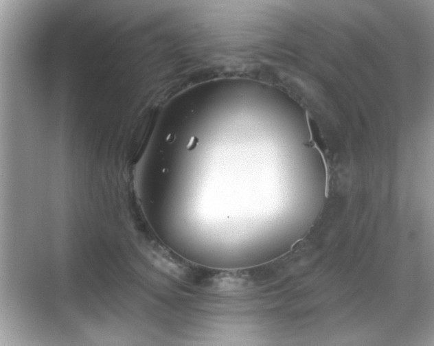 X0000069360756200605121116