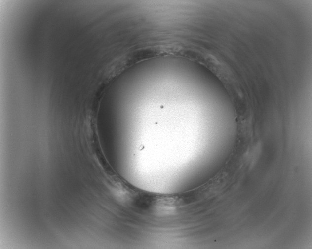 X0000069360757200605121116